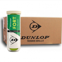 Dunlop Fort TP All Court